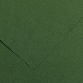 Foglio Colorline - 70x100 cm - 220 gr - verde abete - Canson