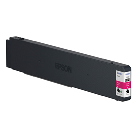 Epson - Cartuccia ink - Magenta - C13T02Y300