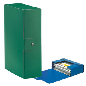 Scatola progetto Eurobox - dorso 10 cm - 25 x 35 cm - verde - Esselte