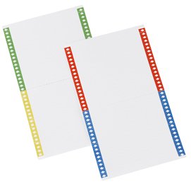 Cartoncini per cartelle sospese - armadio - 40 cartoncini per foglio - 14 cm - Bertesi - conf. 10 fogli