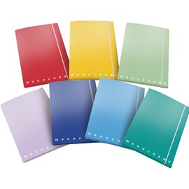 Cartella 3 lembi con elastico Monocromo - A4 - dorso 1