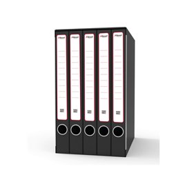 Gruppo registratori Quintetto - 23 x 32 cm - con 5 cartelle ad anelli - dorso 23 cm - grigio - Rexel