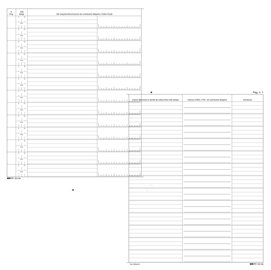 Registro cronologico - 31x24