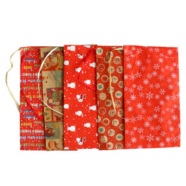 Sacchetto regalo - fantasia Natale assortite - c/ nastro rafia - 26 x 40 cm - carta - Rex Sadoch