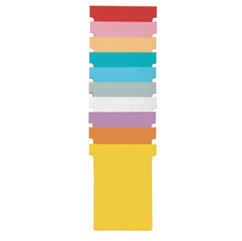 31483 Schede a T indice 1 bianche per Professional Planner - Nobo - conf. 100 pezzi