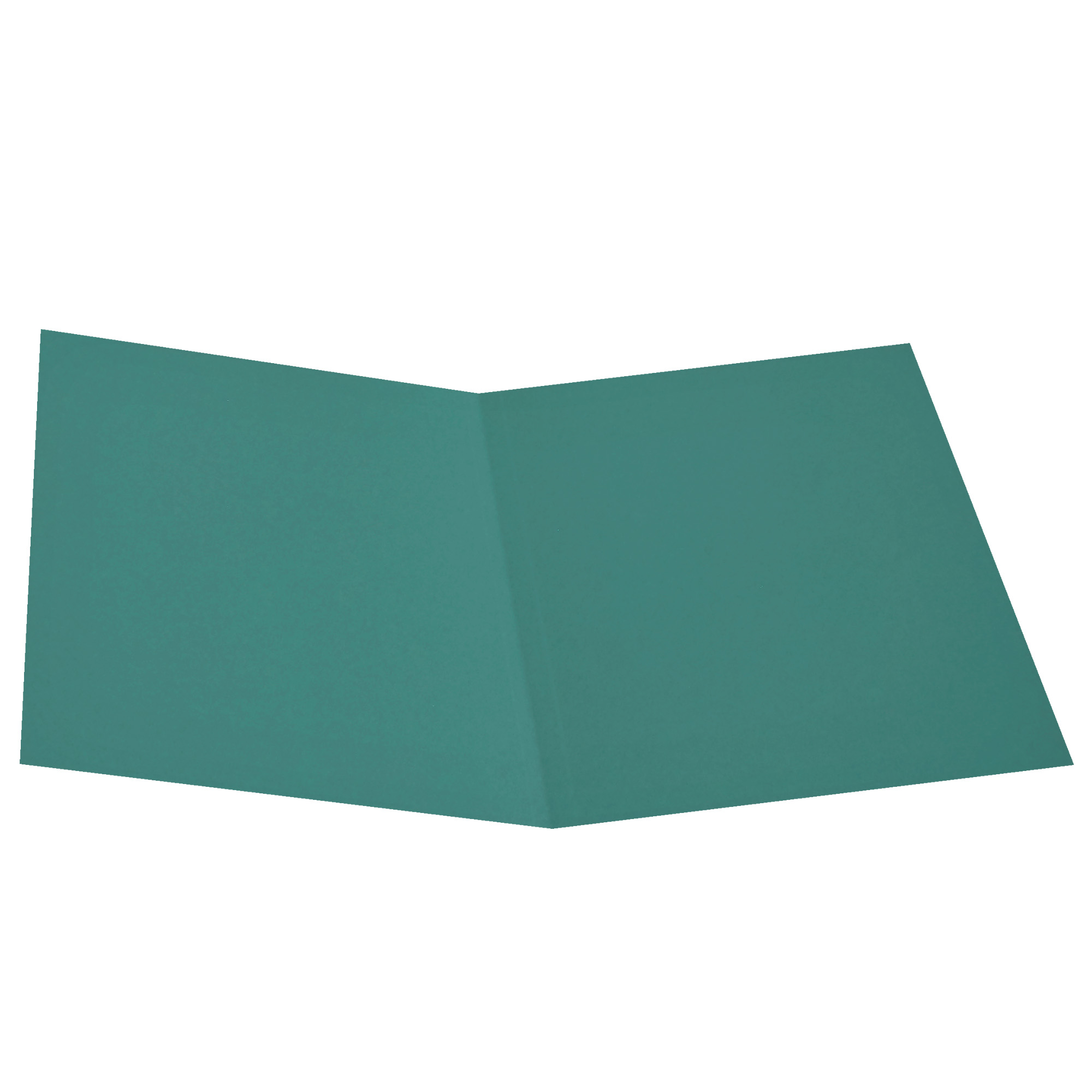 44916 Cartellina semplice - 145 gr - 25 x 34 cm - verde - cartoncino manilla - Cartotecnica del Garda - conf. 100 pezzi