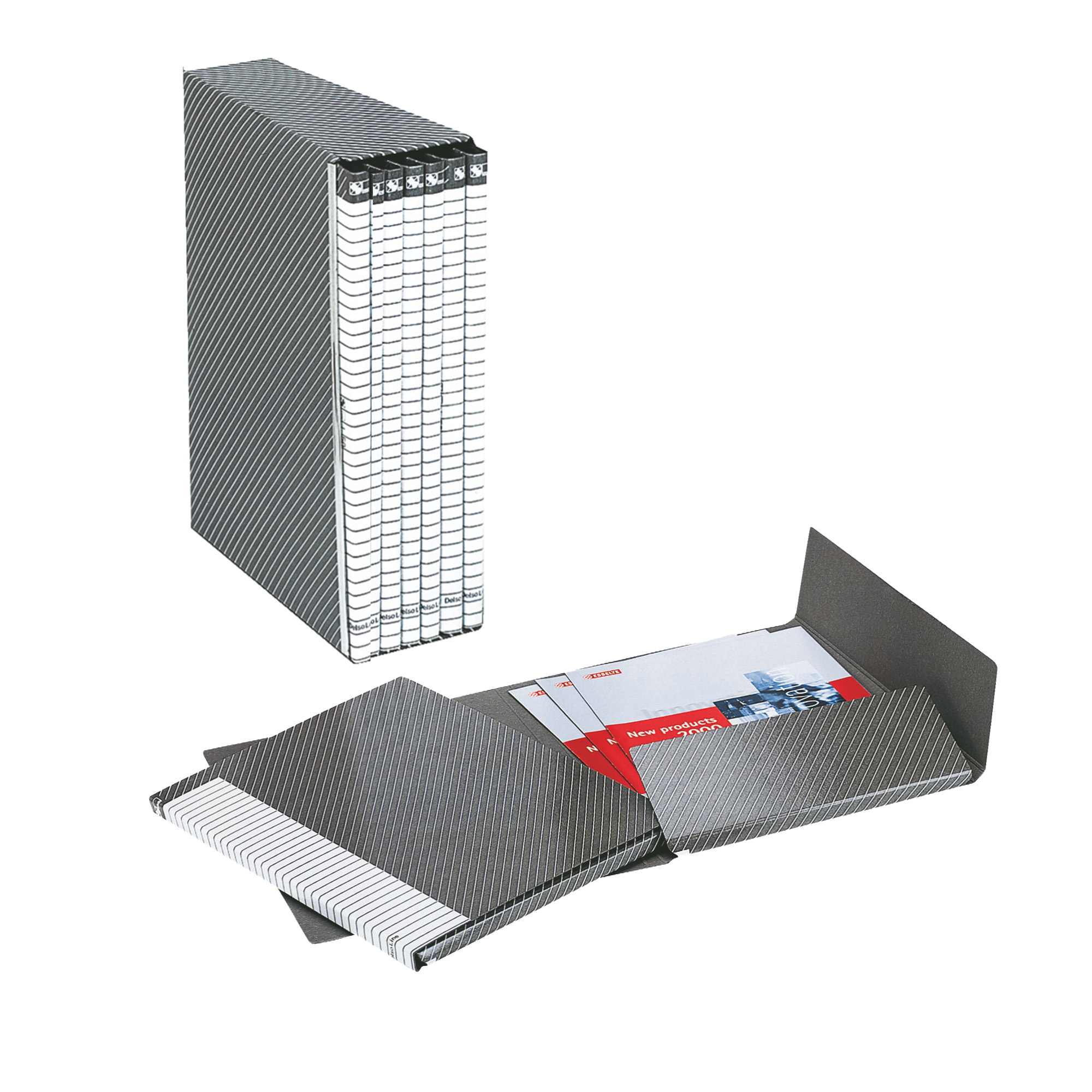 47168 Gruppo Delso Line - 25 x 32 cm - 6 cartelle 2 lembi - con custodia - dorso 1