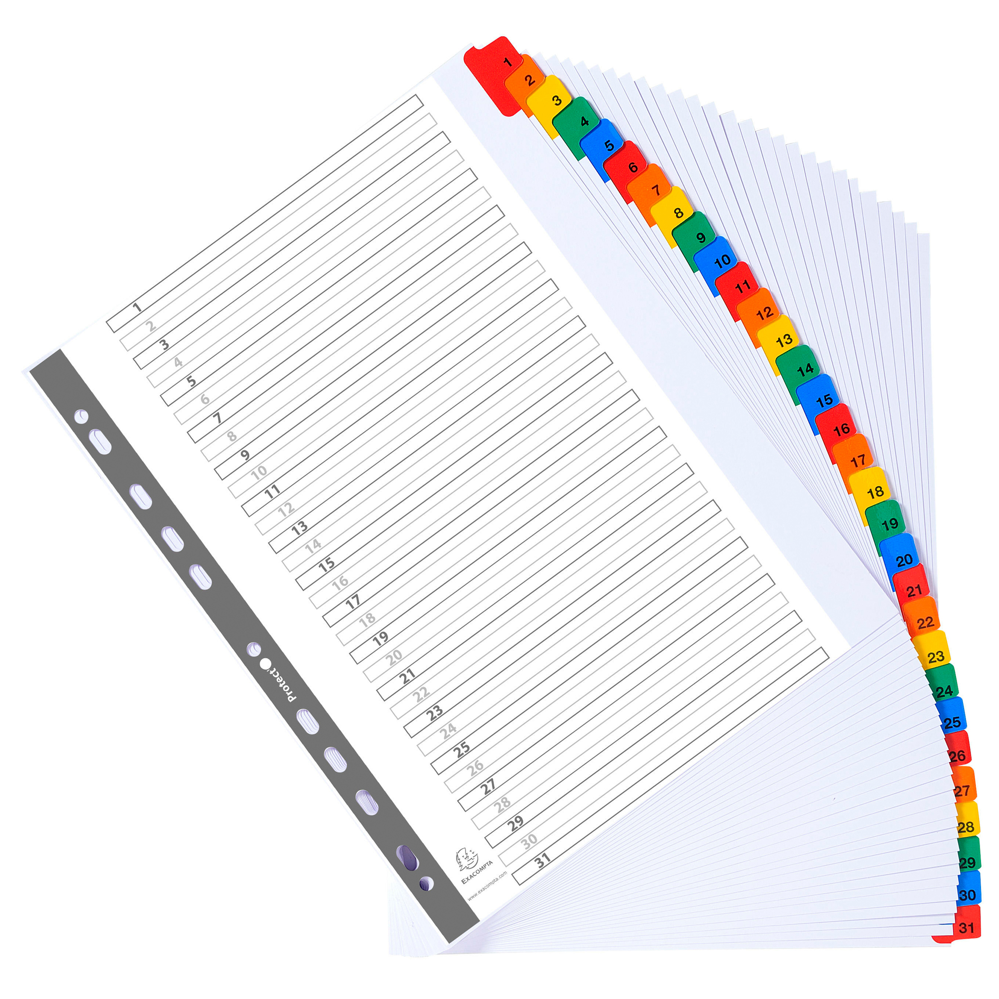 74630 Separatore numerico 1/31 - cartoncino bianco 160 gr - tasti colorati - A4 maxi - Exacompta