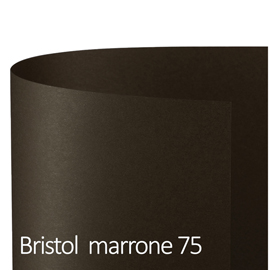 81748 Cartoncino Bristol Color - 70 x 100 cm - 200 gr - marrone 75 - Favini - conf. 10 pezzi