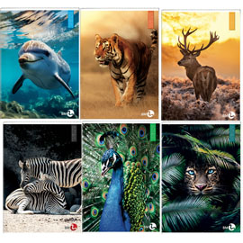 Maxiquaderno Animal fantasia - A4 - 40+2 fogli - 80gr - 10mm - BM