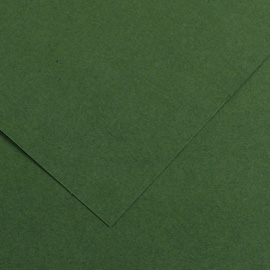 Foglio Colorline - 70x100 cm - 220 gr - verde abete - Canson