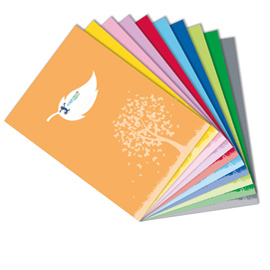 Coprimaxi Green - c/tasche - 21 x 30 cm - carta 120 gr - azzurro - Colorosa