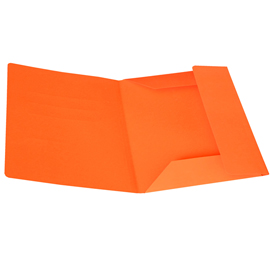 Cartellina 3 lembi - 200 gr - 25 x 34