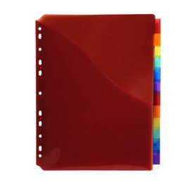 102333 Divisori neutri a 12 tacche - PP - A4 maxi - con portaetichetta - colori assortiti - Exacompta