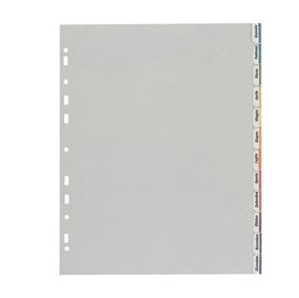 37497 Separatore - 12 tacche personalizzabili - PP - 22x30 cm - grigio - Favorit