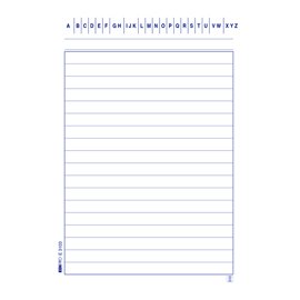 52085 Schede in cartoncino rigate - 10