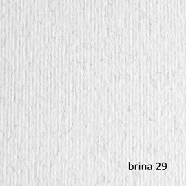 Cartoncino Elle Erre - 70 x 100 cm - 220 gr - brina 129 - Fabriano - blister 10 fogli