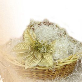 70905 Paglietta - 200 gr - trasparente - PNP