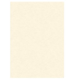 Diplomi in pergamena - stampa offset - A3 - 160 gr - neutro avorio - Kartos - conf. 10 pezzi