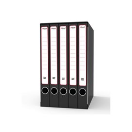 Gruppo registratori Sestetto - 23 x 33 cm - con 6 cartelle ad anelli - dorso 23 cm - grigio - Rexel