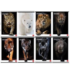 Maxiquaderno Animal - A4 - 4 mm - c/margine - 42 fogli - 80 gr - Pigna