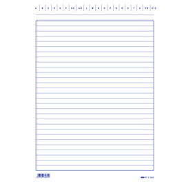 Schede in cartoncino rigate - 24 x 17 cm verticale - Edipro - conf. 100 pezzi