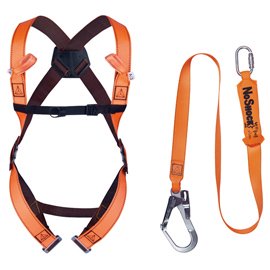 101331 Kit anticaduta di primo livello ELARA190V - per ponteggiatori - taglia S/M/L - Deltaplus