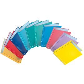 Raccoglitore Monocromo - A5 - 4 anelli tondi 25 mm - dorso 3 cm - colori assortiti - Pigna