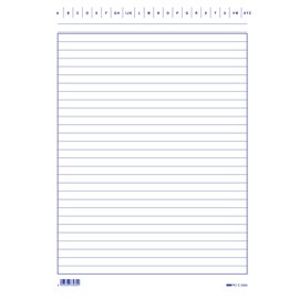Schede in cartoncino rigate - 24 x 17 cm verticale - Edipro - conf. 100 pezzi