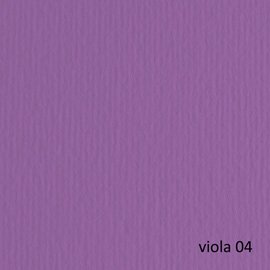 53105 Cartoncino Elle Erre - 50 x 70 cm - 220 gr - viola 104 - Fabriano - blister 20 fogli