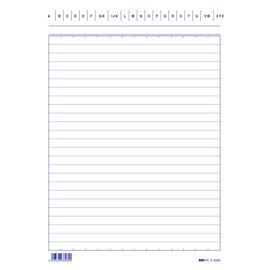 Schede in cartoncino rigate - 21x15 cm verticale - Edipro - conf. 100 pezzi