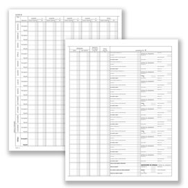 Registro prospetto riepilogativo minori - 8 pagine - 31 x 24