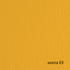 Cartoncino Elle Erre - 50 x 70 cm - 220 gr - avana 103 - Fabriano - blister 20 fogli