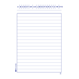 Schede in cartoncino rigate - 10