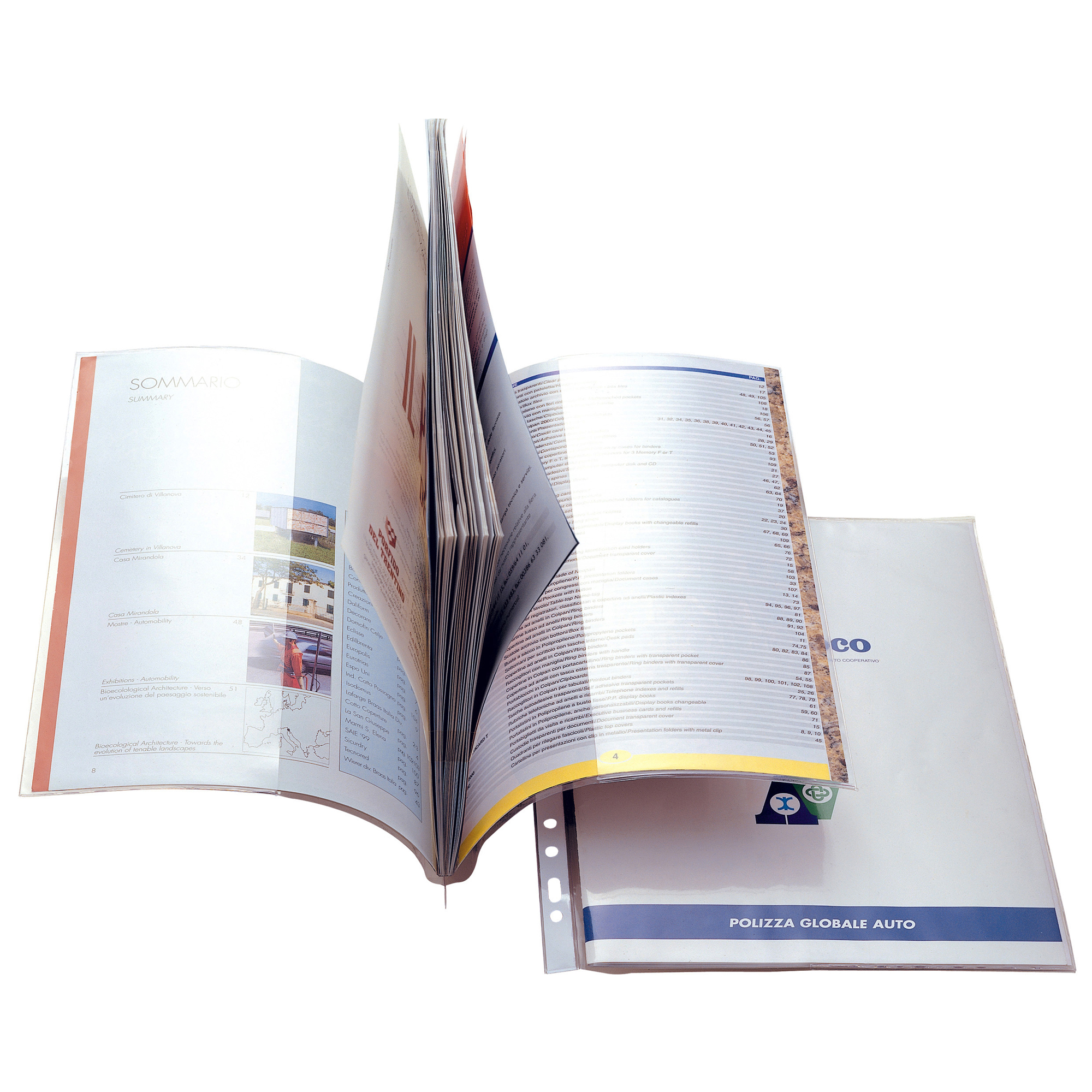 53981 Cartelline forate - Ercole Cat - 21 x 29