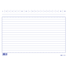 Schede in cartoncino rigate - 17 x 24 cm orizzontale - Edipro - conf. 100 pezzi