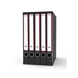 Gruppo registratori Quintetto - 23 x 32 cm - con 5 cartelle ad anelli - dorso 23 cm - grigio - Rexel