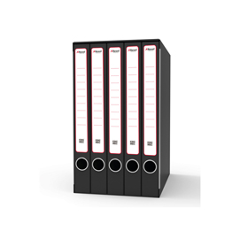 Gruppo registratori Sestetto - 23 x 33 cm - con 6 cartelle ad anelli - dorso 23 cm - grigio - Rexel