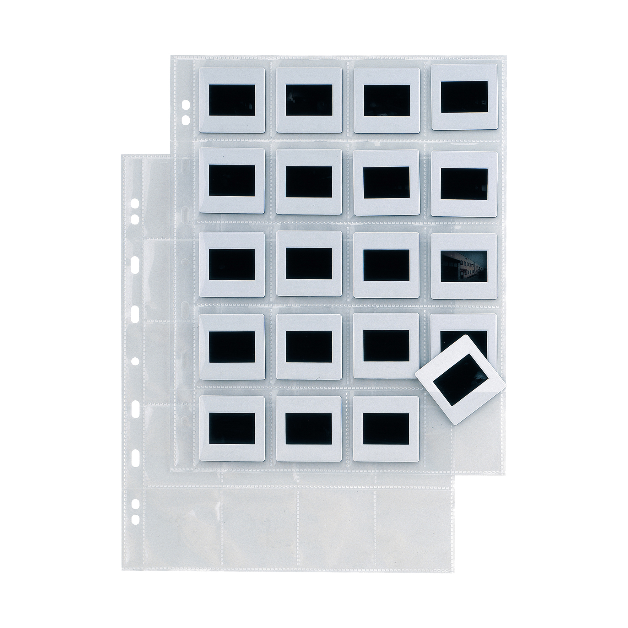 83309 Buste forate Atla F Dia 20 - 22 x 30 cm - PP - porta diapositive 20 spazi 5