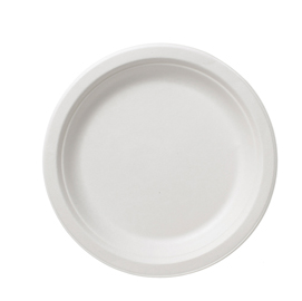 Piatto piano monouso Bio - rotondo - diametro 17