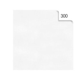 67651 Carta velina - 50 x 70 cm - 20 gr - bianco 300 - Rex Sadoch - busta 26 fogli