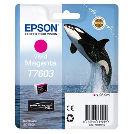 Epson - Cartuccia ink -  T7603 - Magenta - C13T76034N10